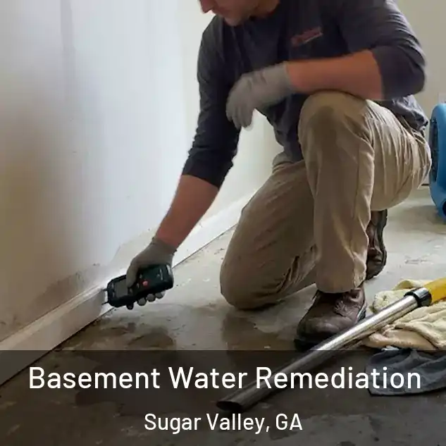  Basement Water Remediation Sugar Valley, GA