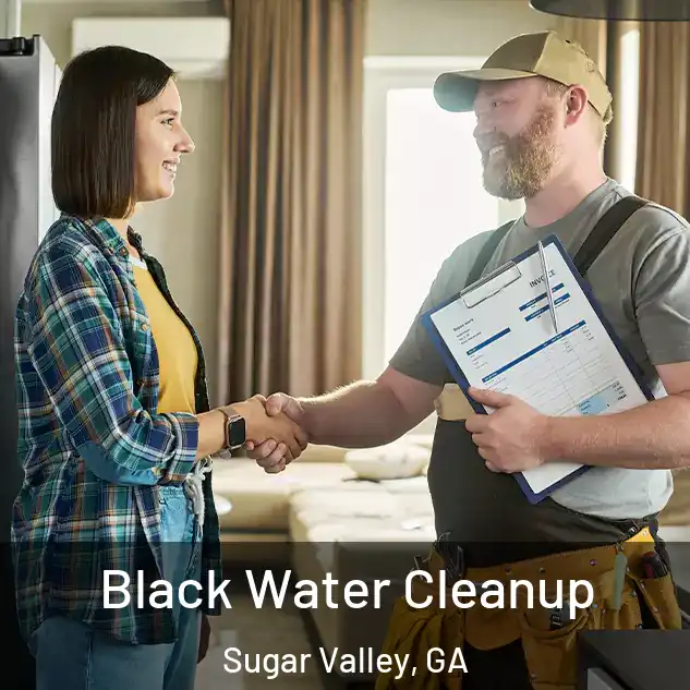  Black Water Cleanup Sugar Valley, GA