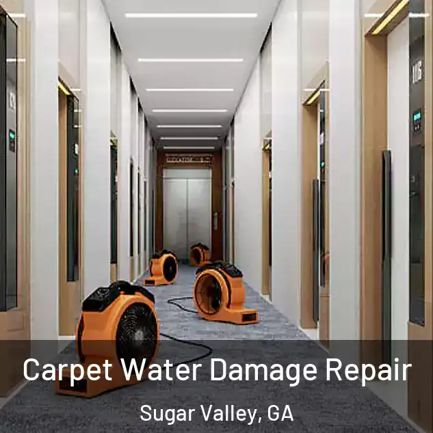  Carpet Water Damage Repair Sugar Valley, GA
