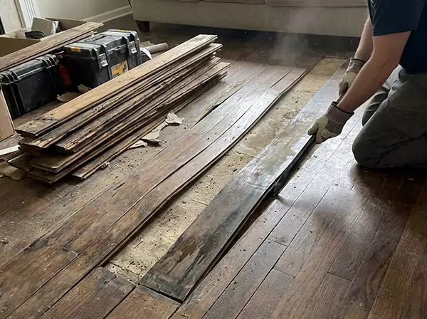 Water Damage Drying in Sugar Valley