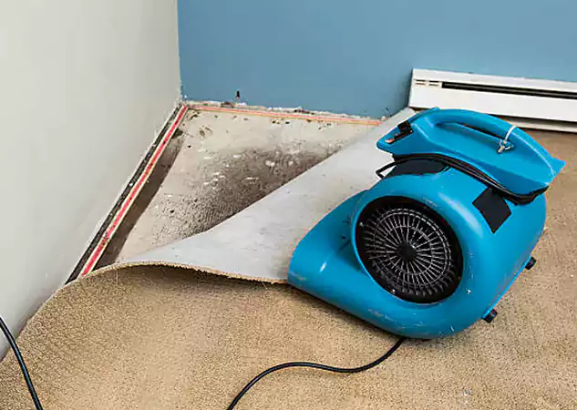 Your Water Damage Experts in Sugar Valley, GA