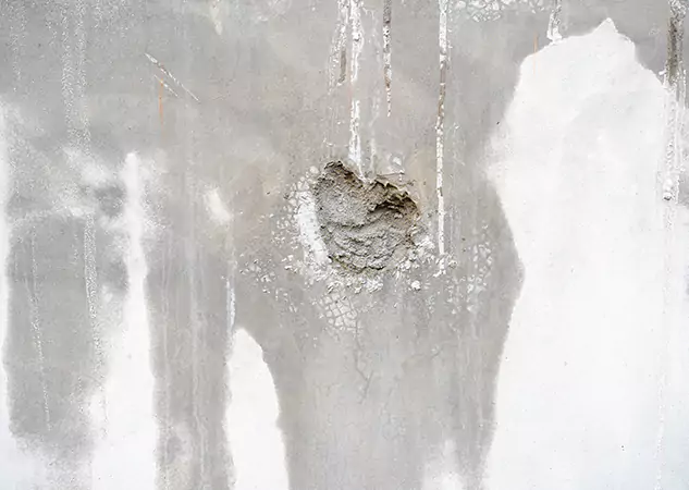 Your Mold Mitigation Solutions Partner in Sugar Valley, GA