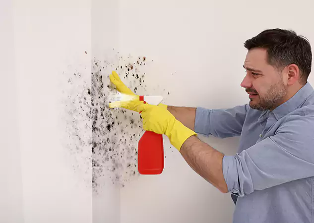 Your Water Mold Fire Restoration Partner in Sugar Valley, GA