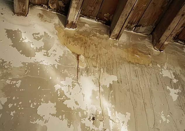 Your Trusted Restoration Company in Sugar Valley, GA