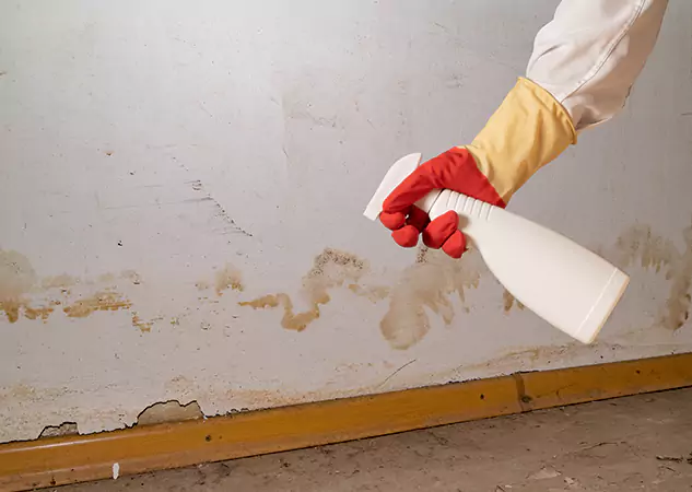 Your Water Restoration and Mold Remediation Specialists in Sugar Valley, GA