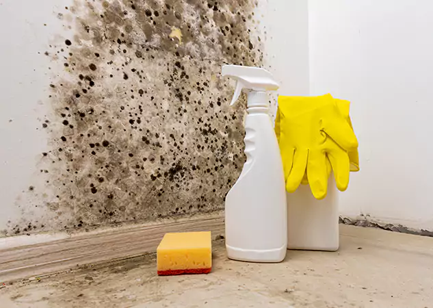 Your Reliable Restoration Company in Sugar Valley, GA