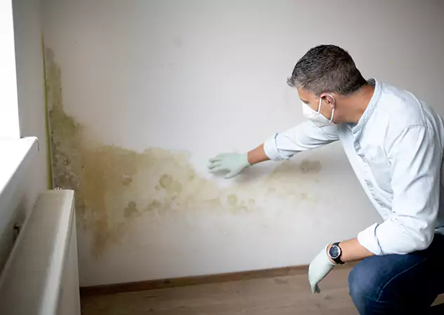 Reach Our Remediation Team Before Damage Grows in Sugar Valley, GA!