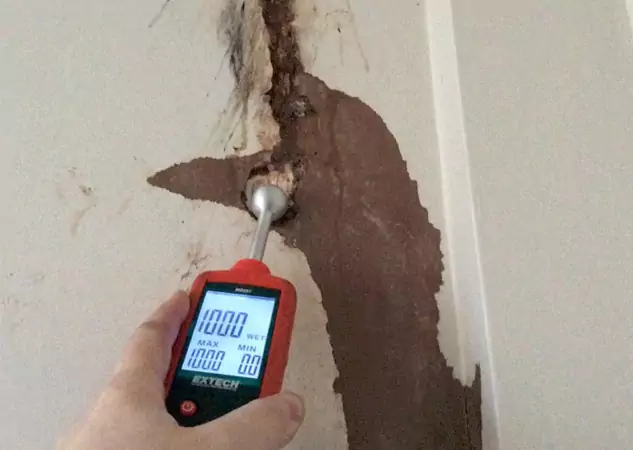 Your Water Damage Assessment Partner in Sugar Valley, GA