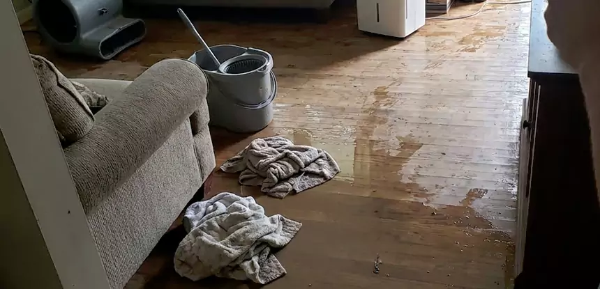 Professional Basement Water Remediation Services in Sugar Valley, GA
