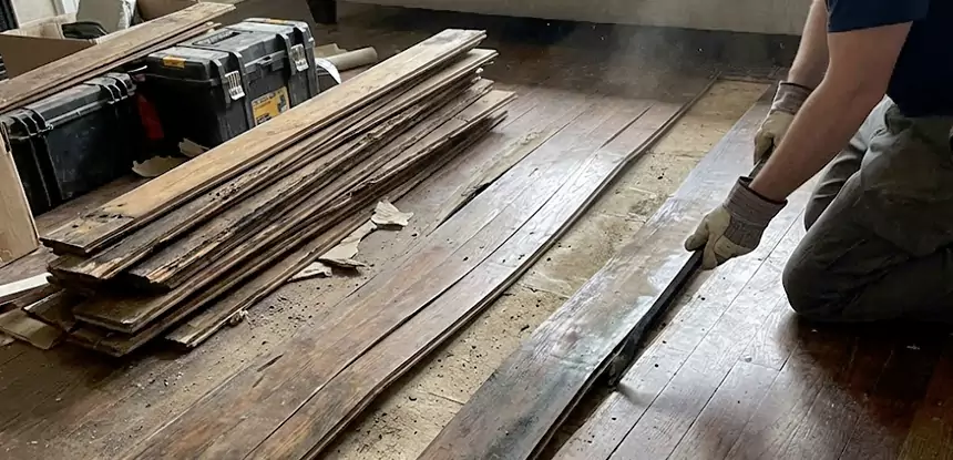 Wood Rot and Fungus Repair in Sugar Valley