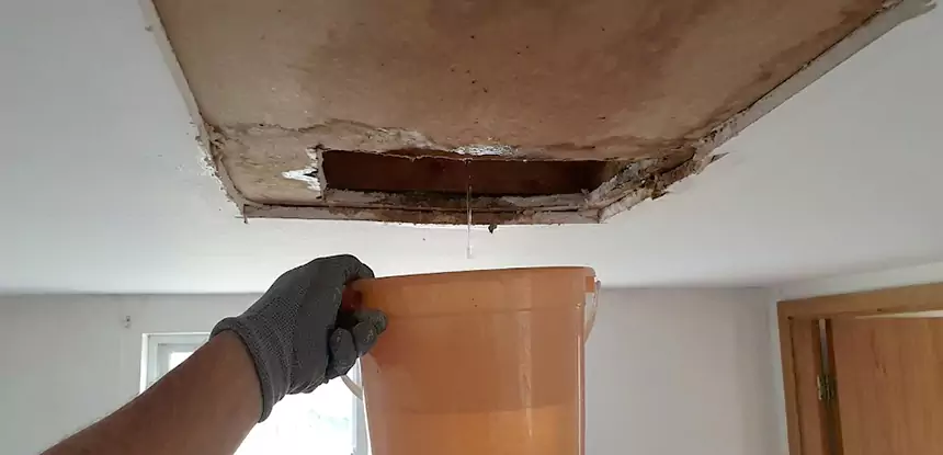 Ceiling Mold Repair Sugar Valley