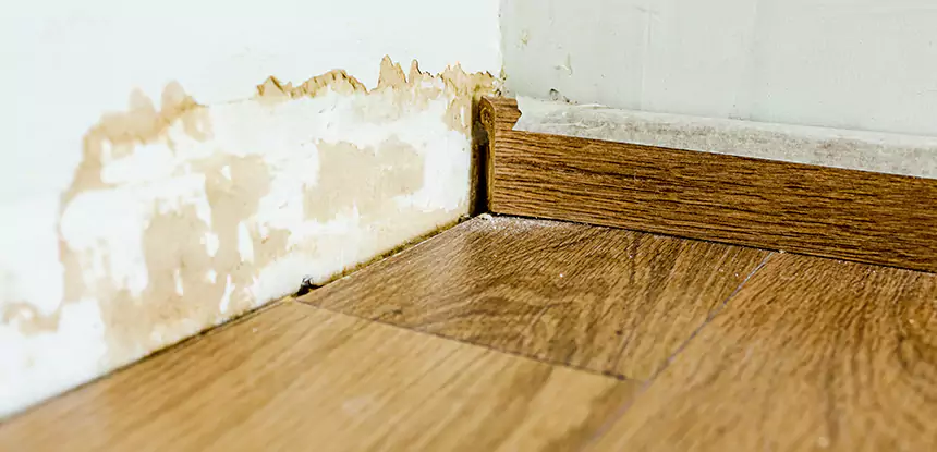 Professional Fix Water Damaged Wood Services in Sugar Valley, GA
