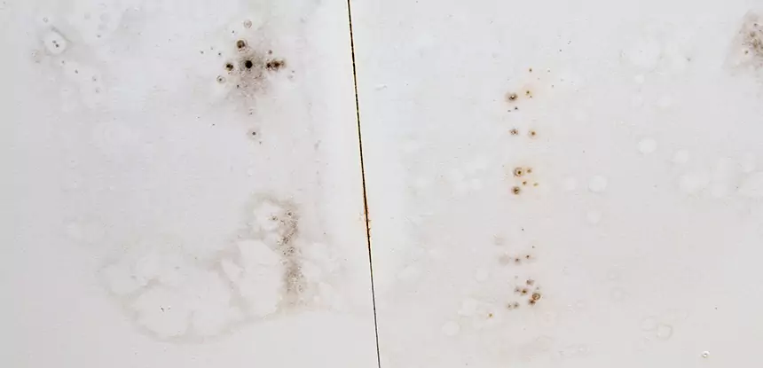 Professional Water Stain Repair Services in Sugar Valley, GA