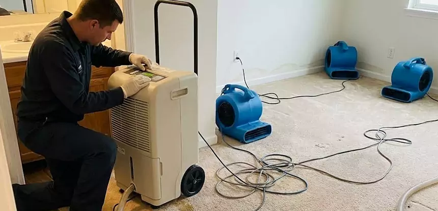 Professional Wet Carpet Removal Services in Sugar Valley, GA