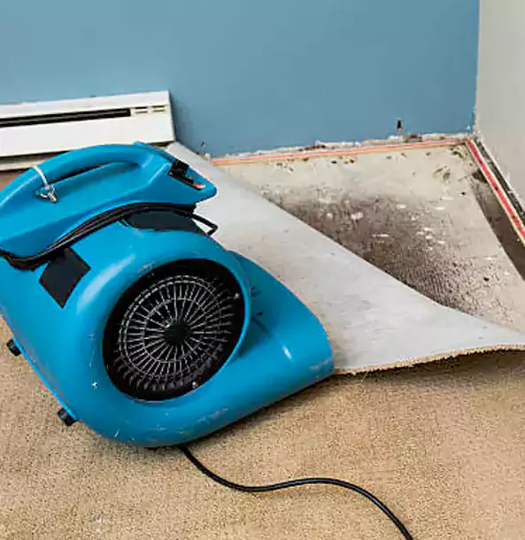 Why Sugar Valley Trusts Sugar Valley Restoration Pro for Carpet Flood Recovery?