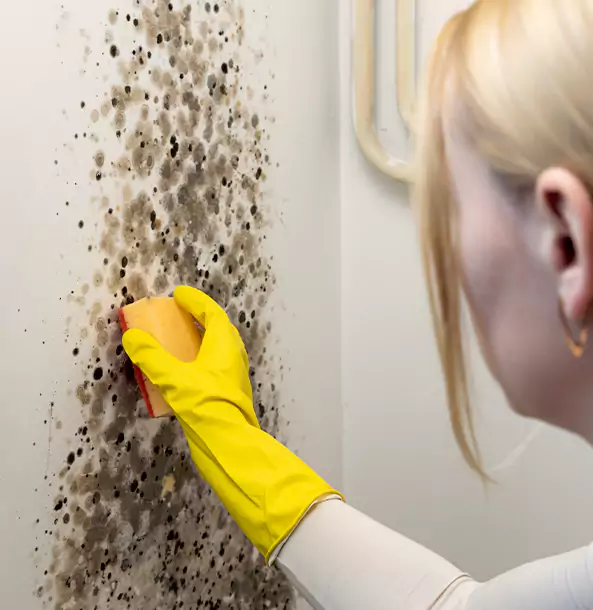 Why Sugar Valley Restoration Pro Leads Mold Remediation in Sugar Valley?