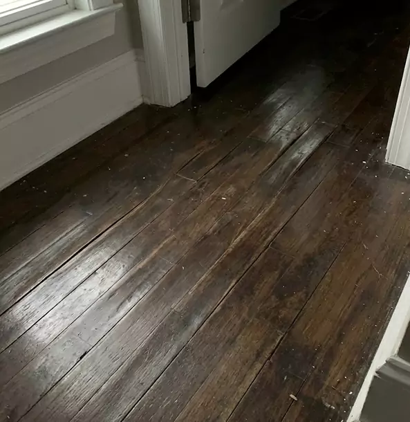 Why Sugar Valley Homeowners Trust Sugar Valley Restoration Pro to Fix Water Damaged Wood?