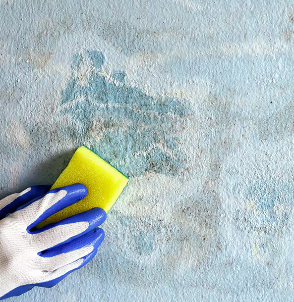 Why Sugar Valley Restoration Pro Is the Right Choice in Sugar Valley, GA?