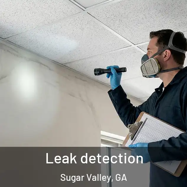 Leak detection Sugar Valley, GA