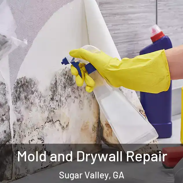  Mold and Drywall Repair Sugar Valley, GA
