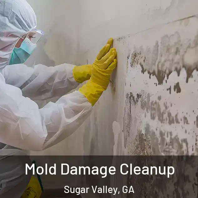  Mold Damage Cleanup Sugar Valley, GA