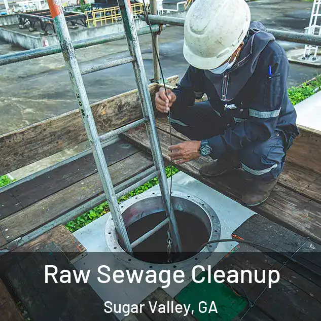  Raw Sewage Cleanup Sugar Valley, GA