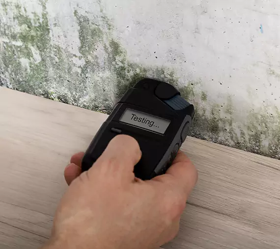 Mold Remediation Service Sugar Valley