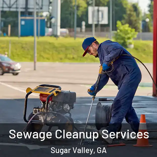  Sewage Cleanup Services Sugar Valley, GA