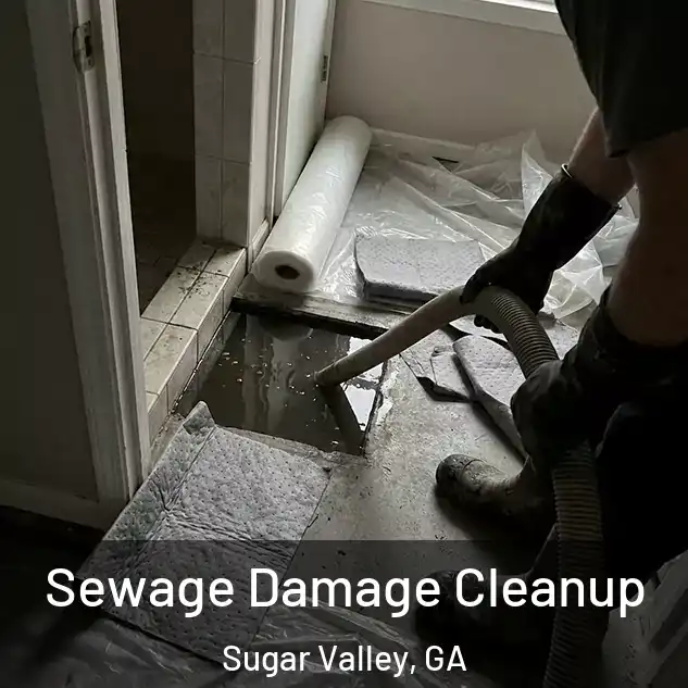  Sewage Damage Cleanup Sugar Valley, GA