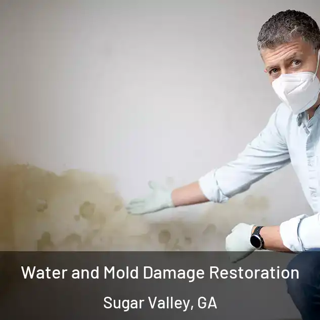  Water and Mold Damage Restoration Sugar Valley, GA