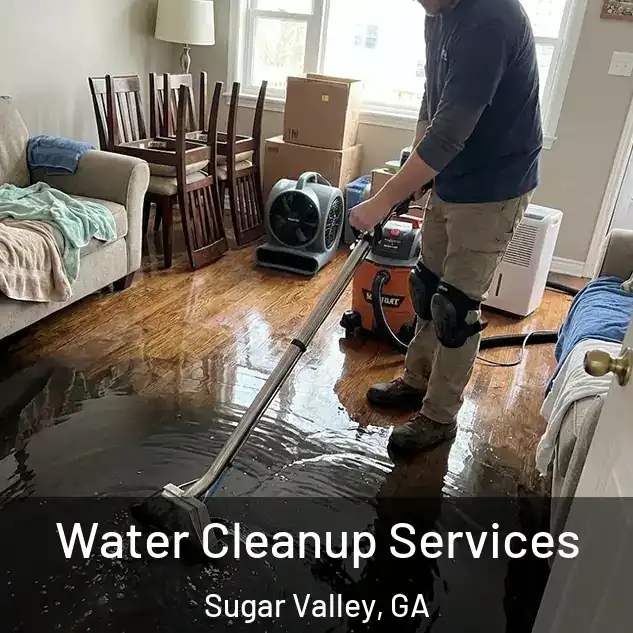  Water Cleanup Services Sugar Valley, GA