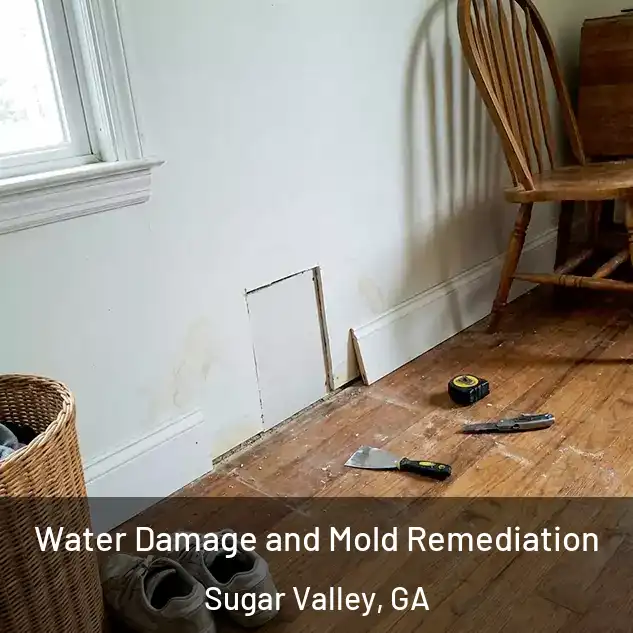  Water Damage and Mold Remediation Sugar Valley, GA