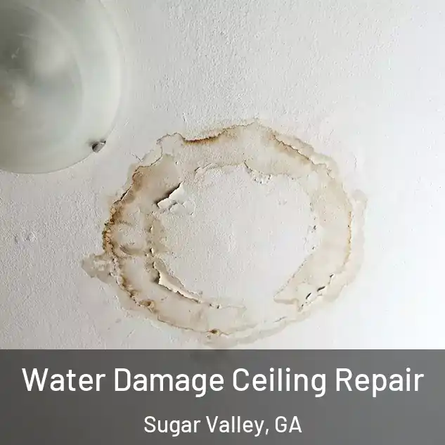  Water Damage Ceiling Repair Sugar Valley, GA