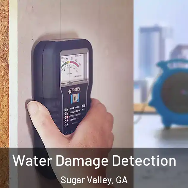  Water Damage Detection Sugar Valley, GA