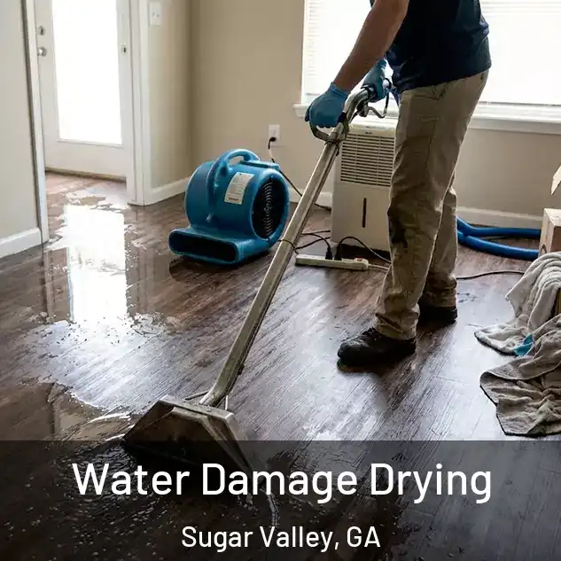  Water Damage Drying Sugar Valley, GA