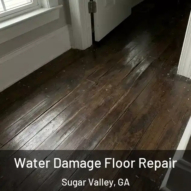  Water Damage Floor Repair Sugar Valley, GA