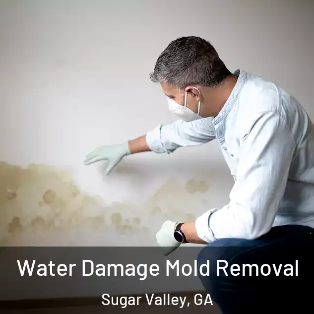  Water Damage Mold Removal Sugar Valley, GA