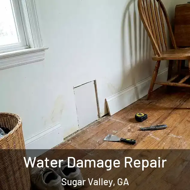  Water Damage Repair Sugar Valley, GA