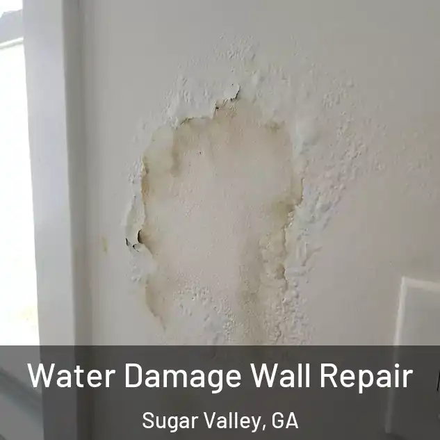  Water Damage Wall Repair Sugar Valley, GA