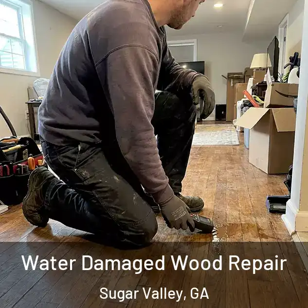  Water Damaged Wood Repair Sugar Valley, GA