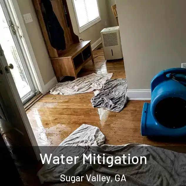  Water Mitigation Sugar Valley, GA