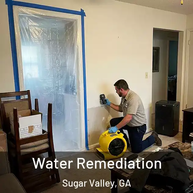 Water Remediation Sugar Valley, GA