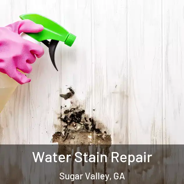  Water Stain Repair Sugar Valley, GA