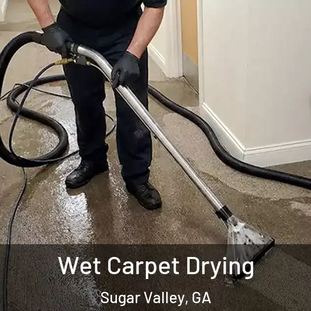  Wet Carpet Drying Sugar Valley, GA