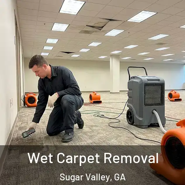  Wet Carpet Removal Sugar Valley, GA